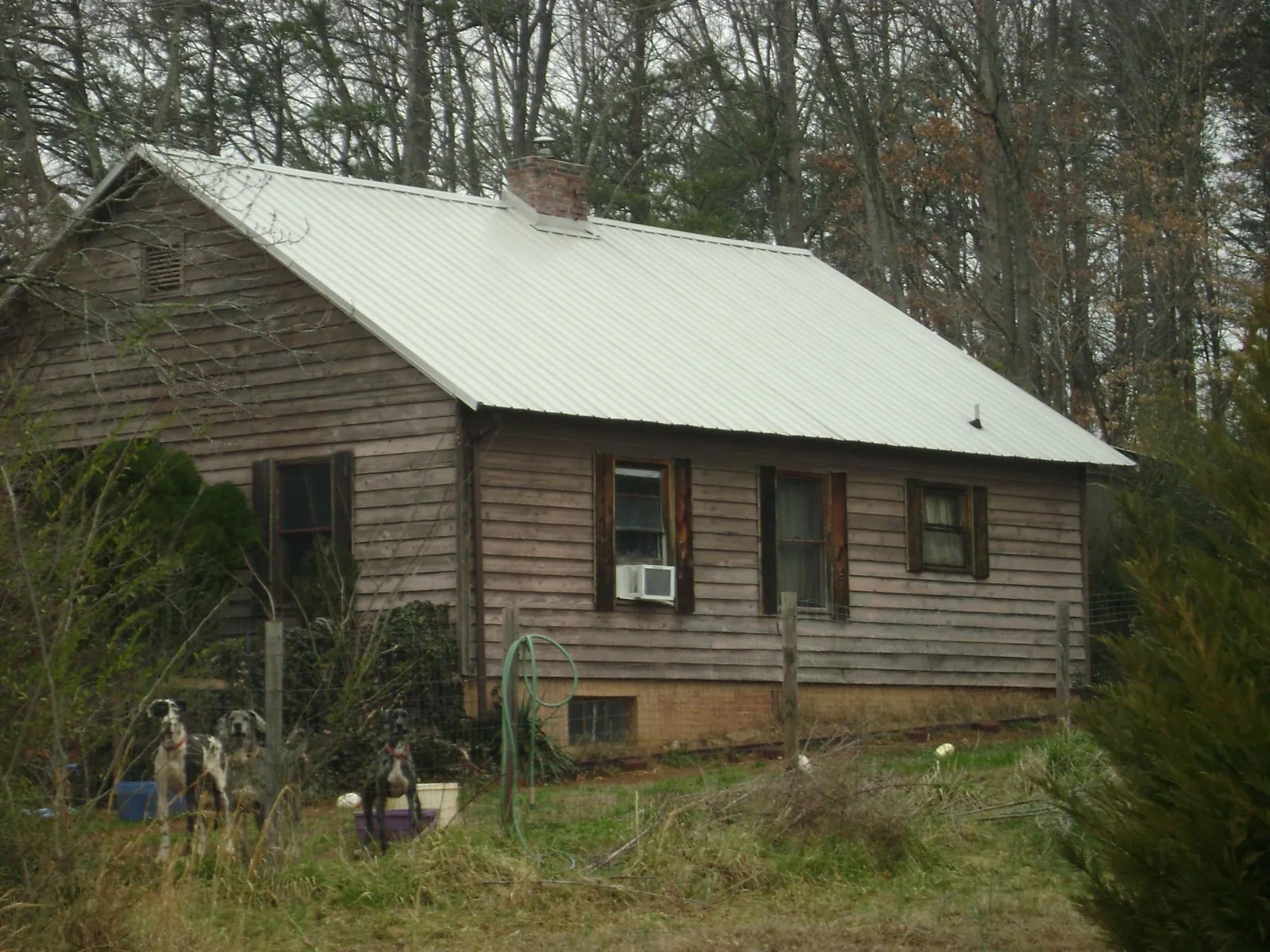 White metal roof on an old wood sided farmhouse, from a Metal Roof Installation job in Guerneville